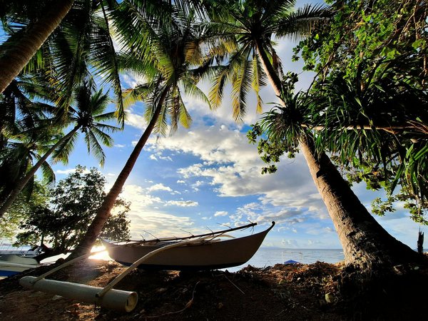 Comment trouver une location de vacances en Irlande avec des cours de musique irlandaise et des visites de pubs traditionnels?